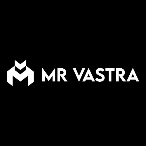 Mr. Vastra|Accounting Services|Professional Services