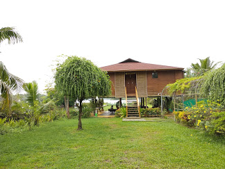 Munroe Eco Camp Accomodation | Resort