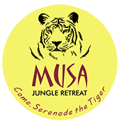 Musa Jungle Retreat Logo