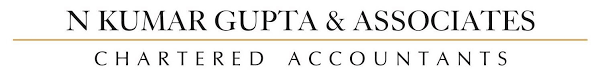 N. Kumar Gupta & Associates Logo
