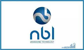 NAAPBOOKS Limited|IT Services|Professional Services