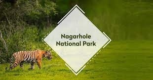 Nagarhole National Park - Logo