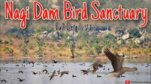 Nagi Dam Wildlife Sanctuary - Logo