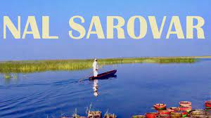 Nal Sarovar Bird Sanctuary|Lake|Travel