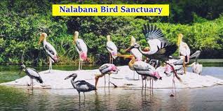 Nalbana Bird Sanctuary - Logo