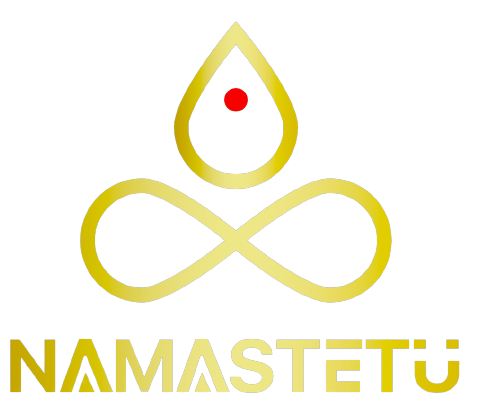Namastetu Technologies Pvt. Ltd.|IT Services|Professional Services