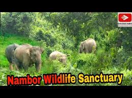 Nambor - Doigrung Wildlife Sanctuary - Logo
