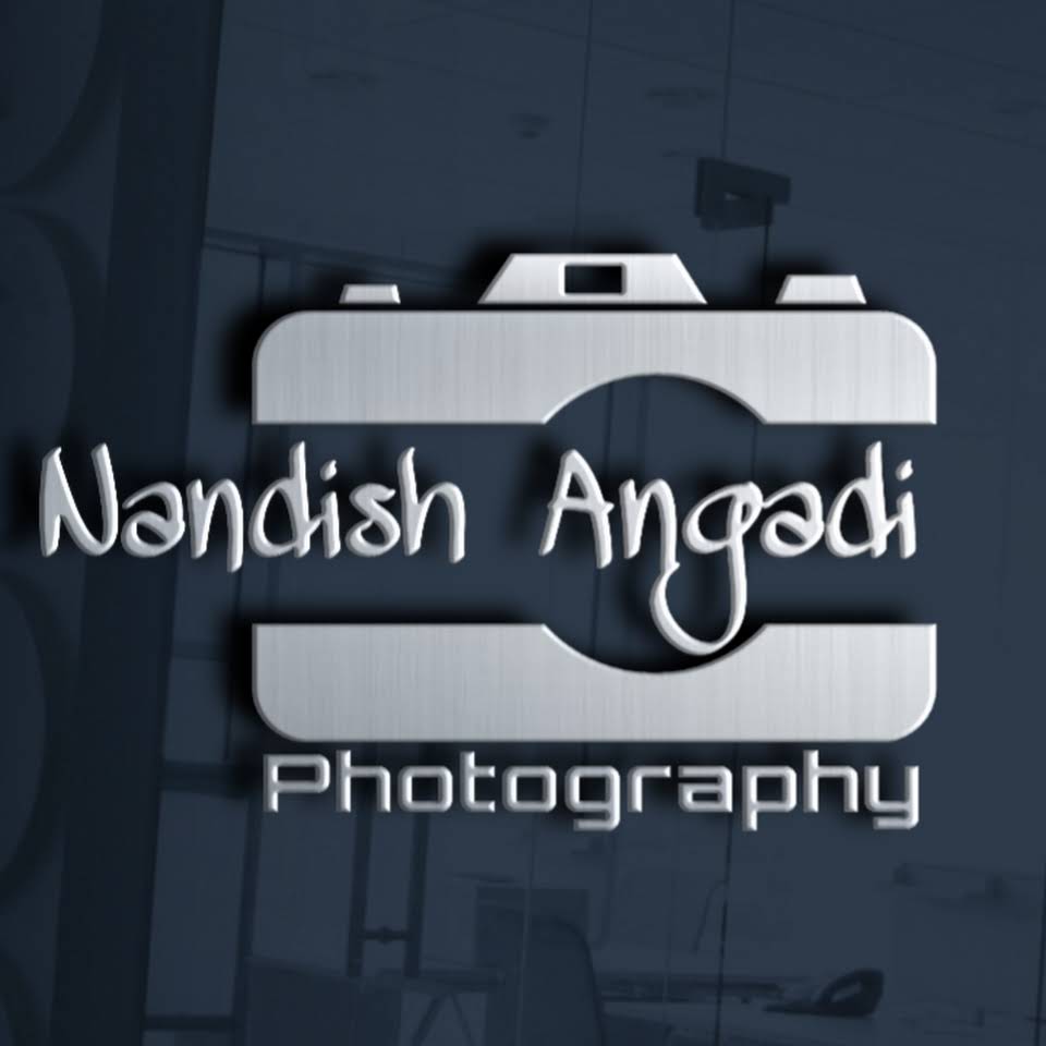 Nandish Professional Photo System Logo