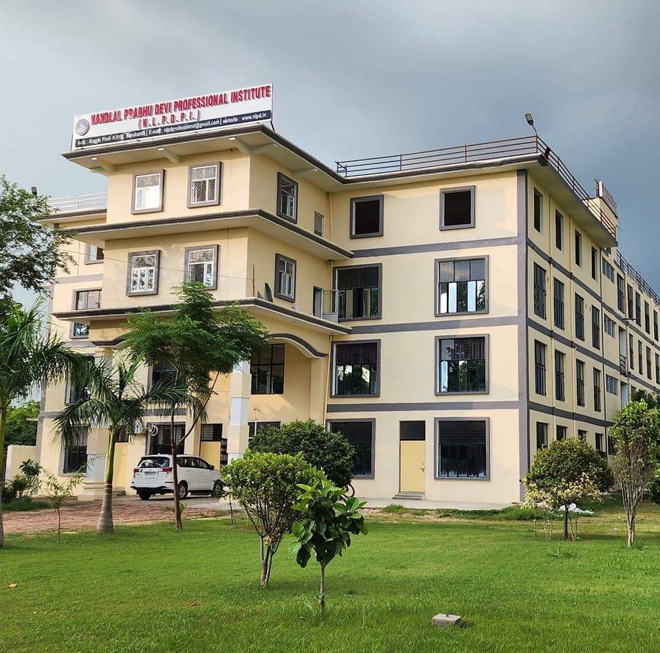 Nandlal Prabhu devi professional institute  - Logo