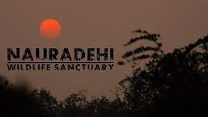 Nauradehi Wildlife Sanctuary - Logo