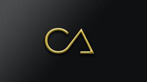 Naveen Batra and Co. - Logo