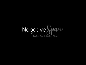 Negative Space Photography Logo