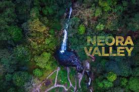 Neora Valley National Park - Logo