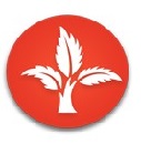 Net Crackers|Education Consultants|Education