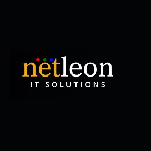 Netleon Technologies|Accounting Services|Professional Services