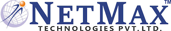 Netmax Technologies - Logo