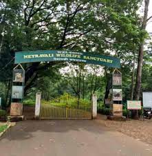 Netravali Wildlife Sanctuary Travel | Zoo and Wildlife Sanctuary 