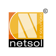Netsol IT Solution Pvt. Ltd. - Logo