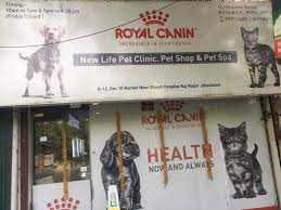 New Life Pet Clinic Medical Services | Veterinary
