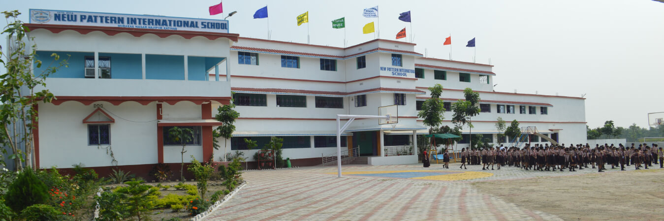 New Pattern International School Education | Schools
