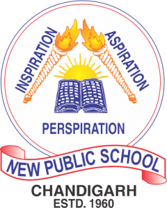 New Public School|Schools|Education