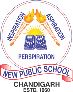 New Public School|Education Consultants|Education