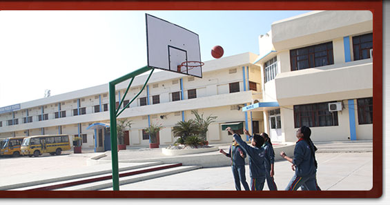 New Yashoda Public School Hisar Schools 03