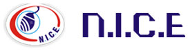 NICE COMPUTER INSTITUTE - Logo