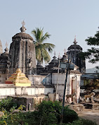 Nilamadhaba Temple Religious And Social Organizations | Religious Building