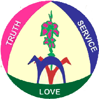 Nirmal Higher Secondary School Logo