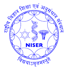Niser Gym - Logo