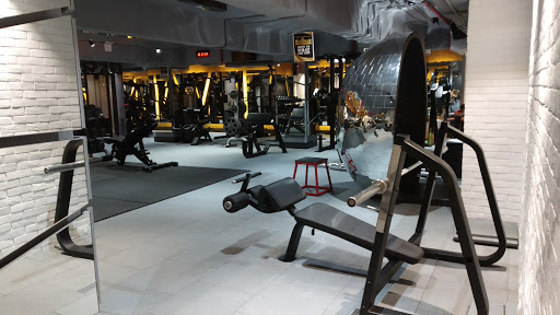 NITRRO World Gym Active Life | Gym and Fitness Centre