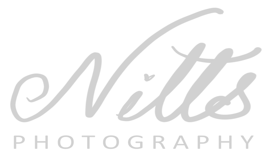 Nitts Photography Logo