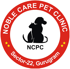 Noble care pet clinic|Hospitals|Medical Services