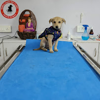 Noble care pet clinic Medical Services | Clinics