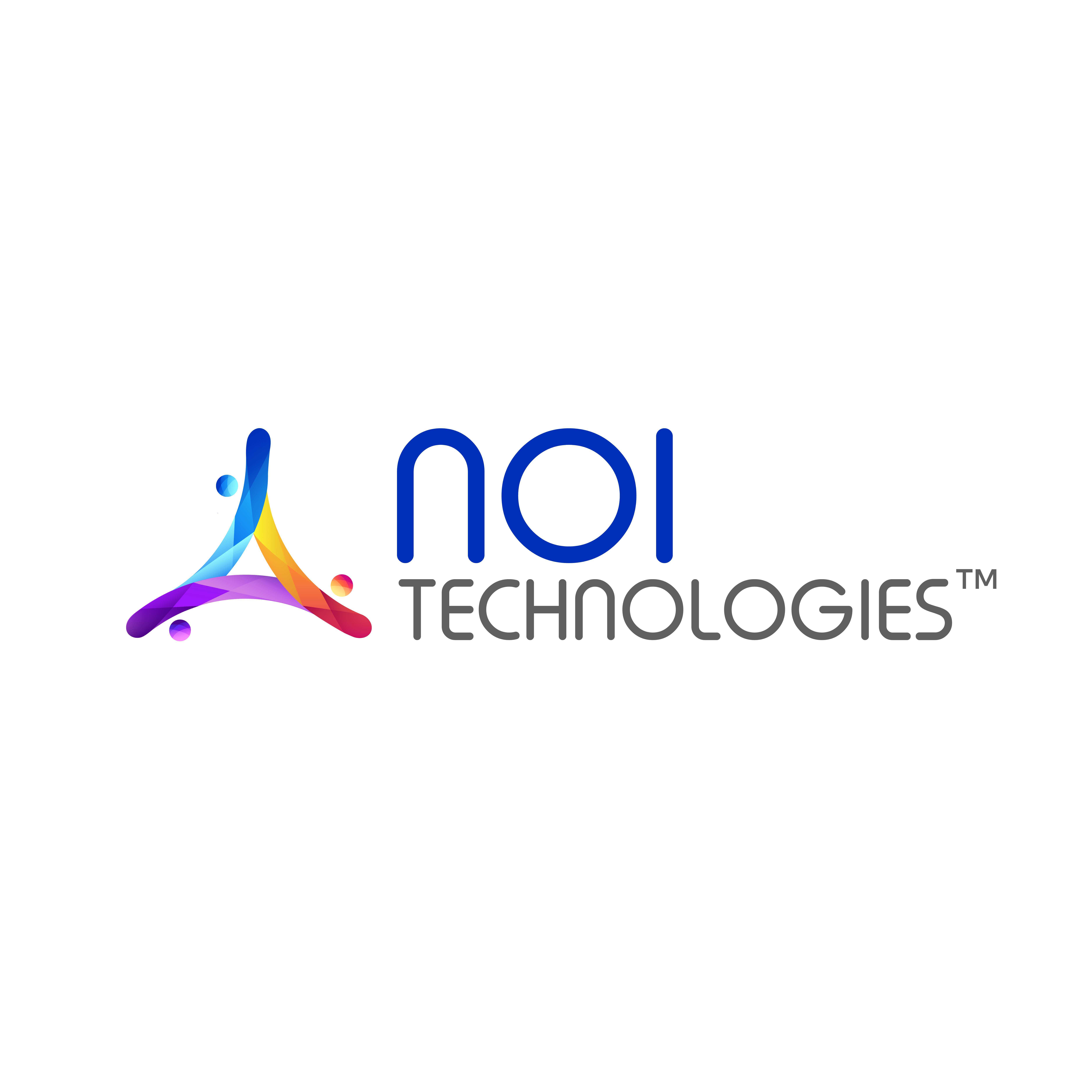 NOI Technologies LLC|IT Services|Professional Services