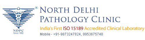 North Delhi Pathology Clinic|Hospitals|Medical Services
