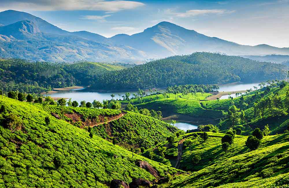 North East India Wildlife Tour Travel | Travel Agency