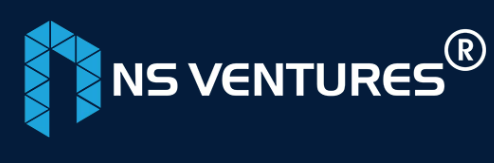 NS Ventures - Logo
