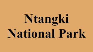 Ntangki National Park Logo