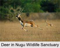 nugu wildlife sanctuary Logo