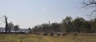 Omkareshwar National Park Travel | Zoo and Wildlife Sanctuary 