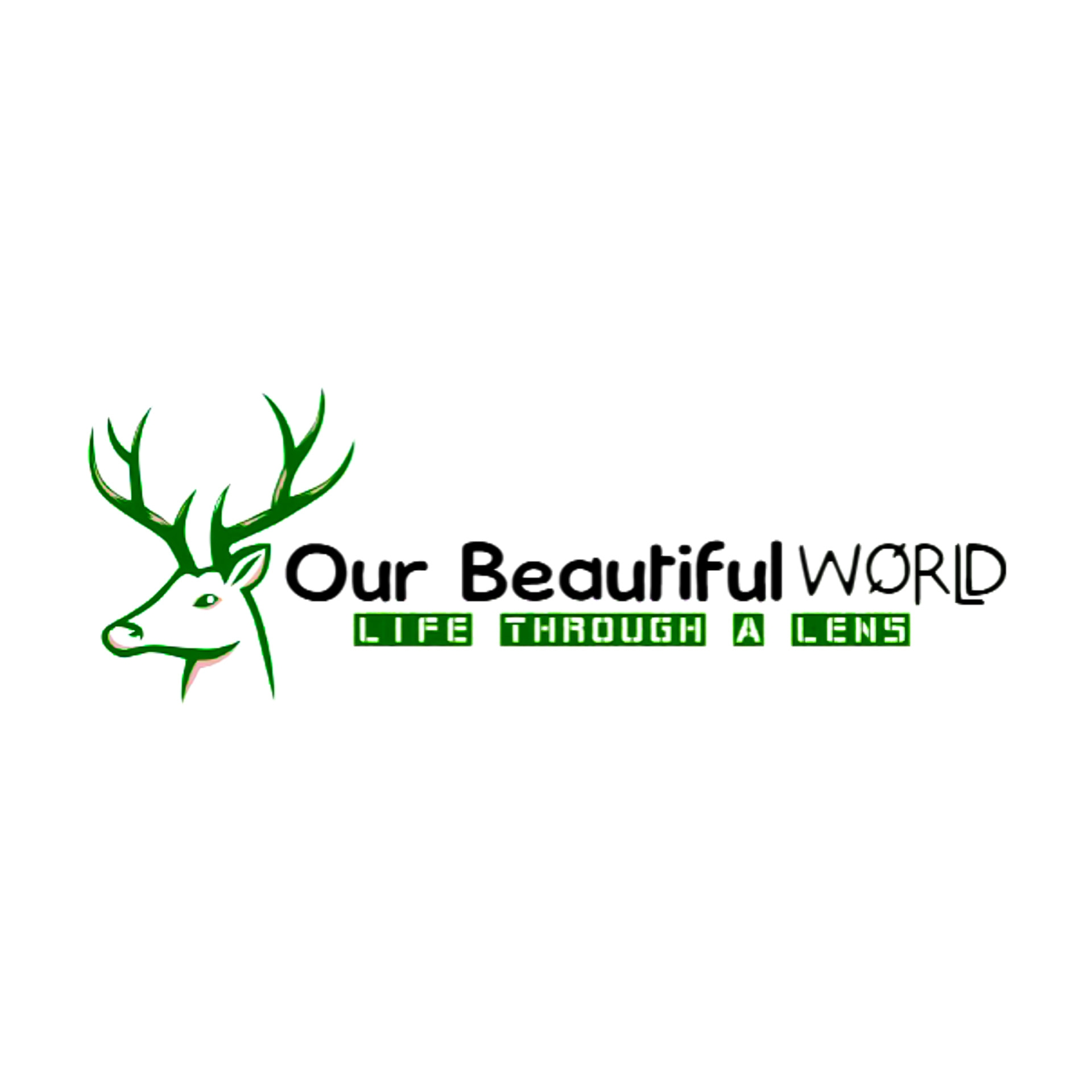 Our Beautiful World - Logo
