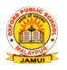 Oxford Public School - Logo