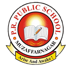 P.R. Public School|Schools|Education