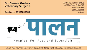 Paalan hospital|Veterinary|Medical Services