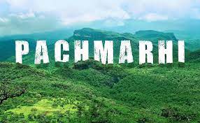 Pachmarhi wildlife Sanctuary - Logo