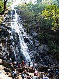 Pachmarhi wildlife Sanctuary Travel | Zoo and Wildlife Sanctuary 