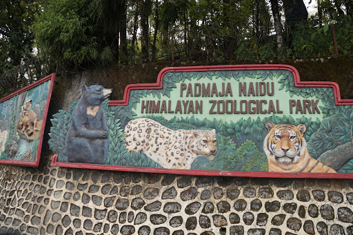 Padmaja Naidu Himalayan Zoological Park Darjeeling - Zoo and Wildlife  Sanctuary in Darjeeling | Joon Square