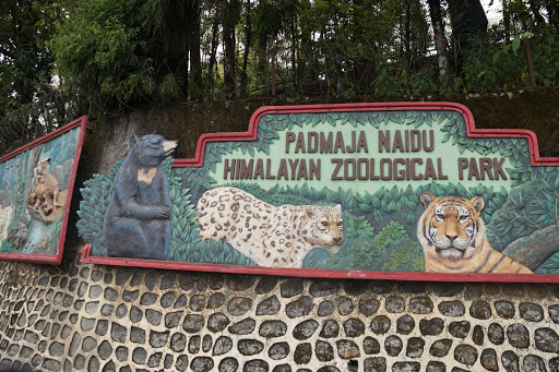 Padmaja Naidu Himalayan Zoological Park Travel | Zoo and Wildlife Sanctuary 